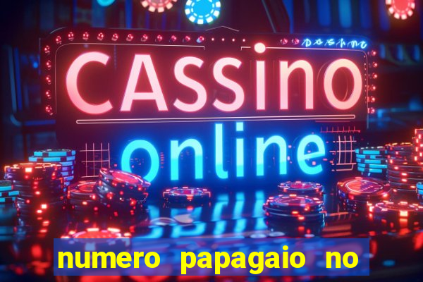 numero papagaio no jogo do bicho